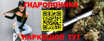 jwh Будённовск