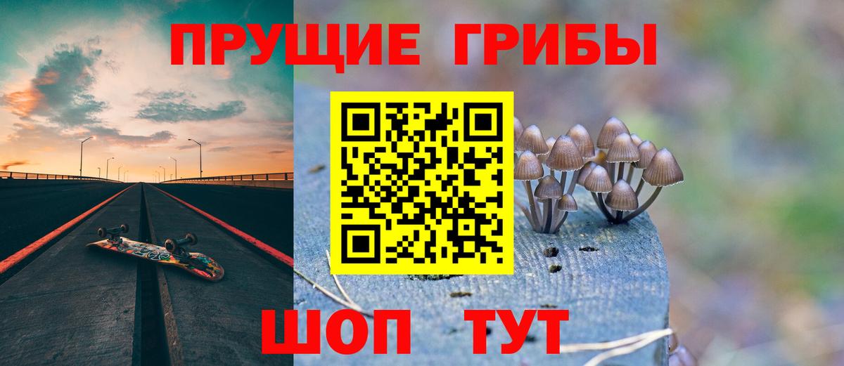Псилоцибиновые грибы Psilocybine cubensis  Псилоцибиновые грибы Psilocybe  Вход с VPN  Северск 